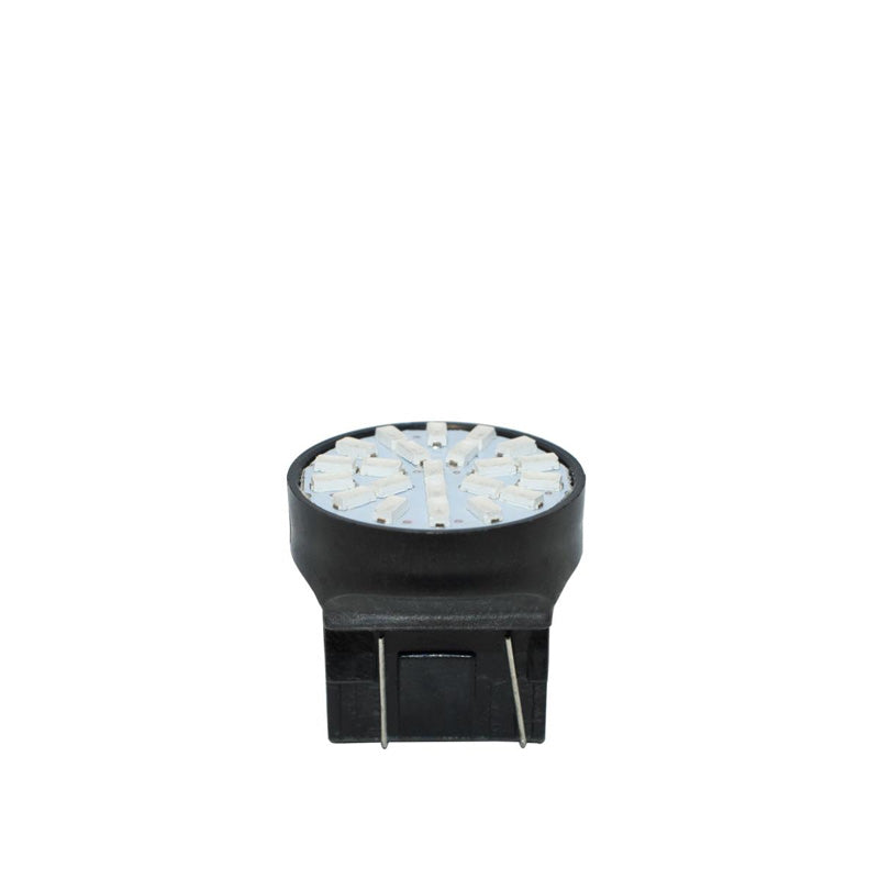 Simoni Racing, 8-LED T20-lampa - Vit - 50 Lumen - 6000K - 12V